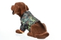 Preview: Wackeldackel groß 29 cm im Bundeswehr-Shirt Flecktarn - mit Echtheits-Zertifikat