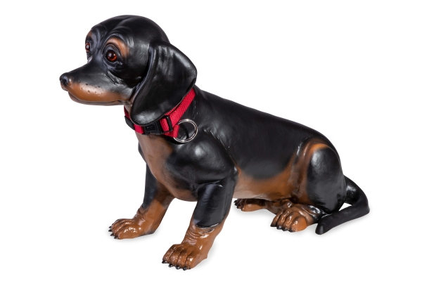 Dackel Rocco 50 cm mit Echtheitszertifikat