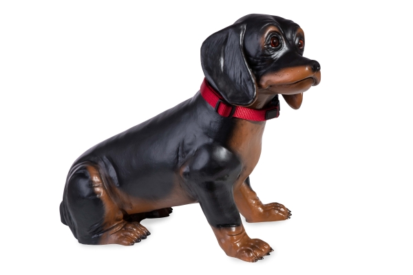Dackel Rocco 50 cm mit Echtheitszertifikat